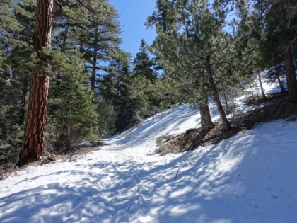 Before long, there's some decent sized patches. Unfortunately, it was also pretty icy in places, which made for slow going.