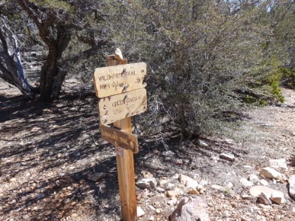 At the 3 mile marker, halfway from the fireroad to the summit.