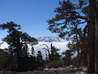 Great peekaboo views of Mt. San Gorgonio along the way.