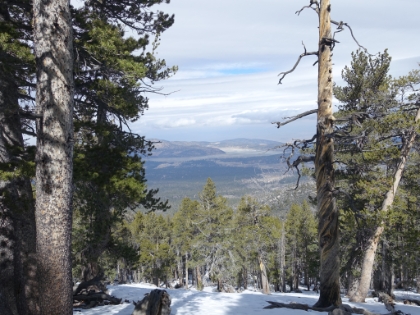 View of the Big Bear valley below.