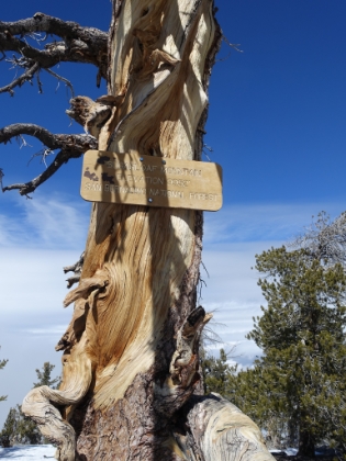 A newer summit sign.