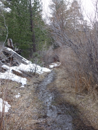 Starting to get muddy and there's already patches of snow, which I wasn't really expecting.