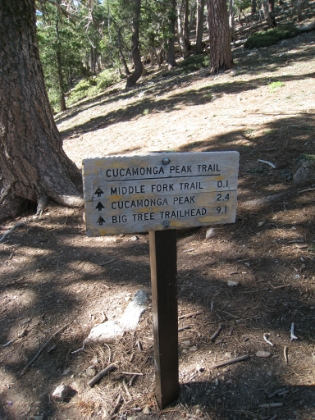 Uncharted territory.