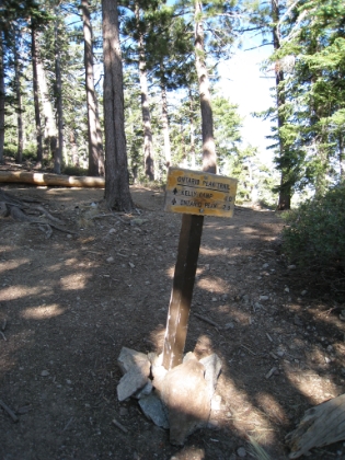 At the saddle ready to head back up this time to Ontario Peak.