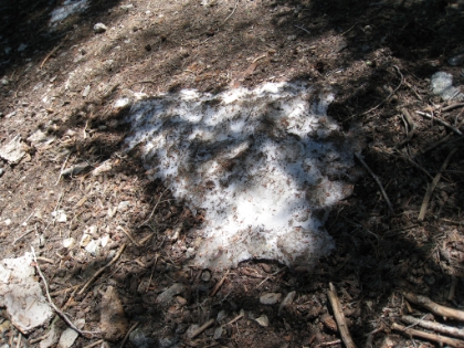 Our lone snow sighting for the day.