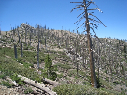 Ontario Peak is one of those cruel, brain- deceiving peaks, that seems to endlessly have one peak after another. Just when you reach the top of one peak, you see the next one behind it. Mental torture.