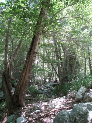 Roughly the same spot as one of my favorite snow trekking pictures.