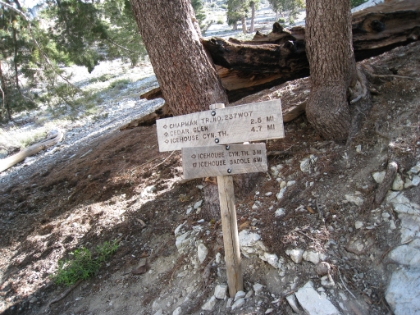 On the way back, I decided to take a different route back to the trailhead. The Cedar Glen trail adds another 1.1 miles and is an awesome trail. It doesn't have the scenic creek of Icehouse Canyon, but it has great technical terrain.