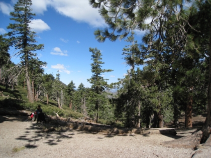 Made it to the Saddle in good time. It's a little bit easier without the snow!