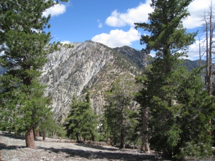 A look towards Telegraph Peak. You can see the steep descent to the saddle and then the climb to the Peak. In retrospect, I can't believe I actually did that in the snow.