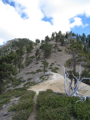 If you look closely, you can see how the trail cuts to the left alongside this peak. It then switchbacks up to the top. In the snow, my trail was straight up the shoulder to the top! This picture does not convey the steepness. I don't know how (or why) I ever tried that on snowshoes.