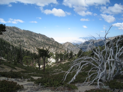 Almost the identical picture as my snow trek except without the snow.