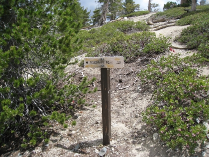 I was at this exact spot and never saw the sign before. It was entirely covered in snow last time.