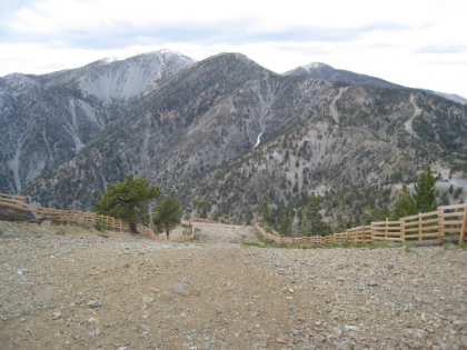 Made it to the top of Timber Mtn, which also happens to be the highest point of the Mt. Baldy ski resort (about 400' below Telegraph Peak). So this is what a ski run looks like in the summer!