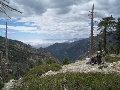 A nice view on the way back from Timber Mtn.