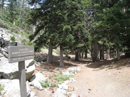 Cedar Glen. Evidently a camping spot. Very nice area.