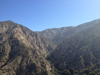 View inland from the ridge.