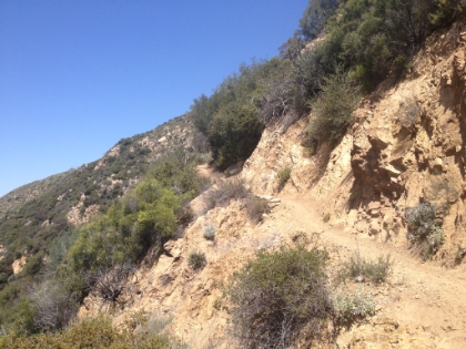 A typical section of trail above Echo Mtn below the ridge.