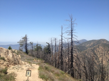 Made the ridge at about 4000'.