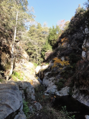 Another small waterfall in the upper portion of Santa Anita Canyon.