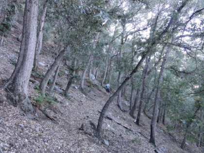 Some more great single track. The trail was spongy from the recent rains and covered in a heavy layer of leaves and acorns. It was almost like running in sand.