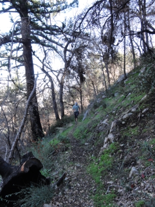 This should be the cover of the next issue of Trail Runner magazine.