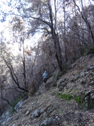 The single track gets increasingly narrow as we get closer to the summit.