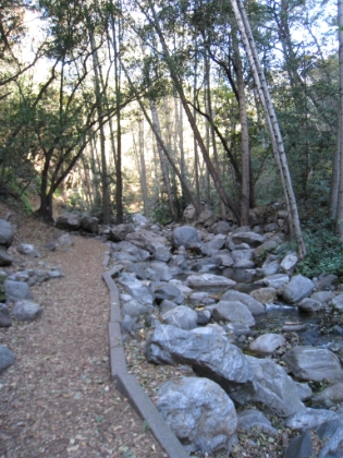 The trail stays close to the stream for a few miles.