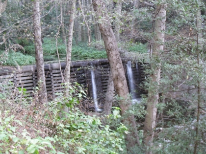 The stream is dammed at several points along the way.