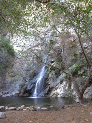 People swim underneath it during the summer.