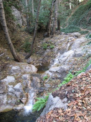 There are plenty of small cascades along the trail as the terrain gets steeper.