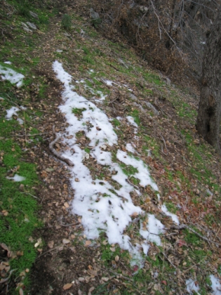 Snow?! It hadn't even crossed my mind that I could possibly encounter snow on this run. It's still only about 4500' elevation at this point. I was totally suprised, but this was probably the only patch left because it happened to be in a pacticularly cold, shady area, right?