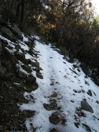 Uh, nope. Very quickly I was running on snow. This trail run quickly went from great to all-time great.