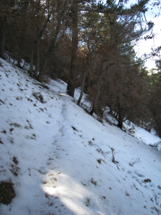 The snow is actually getting pretty heavy now. Fortunately, it's not too icy, so I'm still able to run on it. And fortunately there are tracks to follow or this run would have already become a slow hike at best.