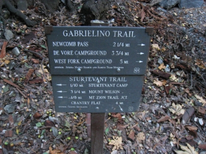 Decision point. I can get to the summit via two different routes. There is about a 5 mile round-trip difference between the two. My goal is to hit 20 miles for the day, so I choose Newcomb Pass, the longer route.