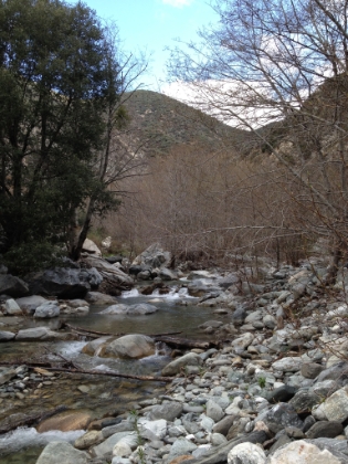 Great river scenery for much of the way up the trail.