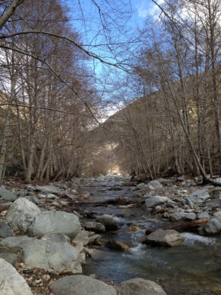 Another view from the same spot.