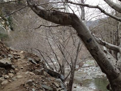 On the way back, I took more of the trail above the river and avoided some of the water crossings. I was wet from the thighs down and my shoes were completely soggy at this point, and I was still only half done with my day.
