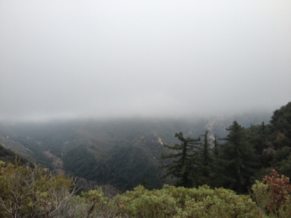 There's some sort of storm coming-in and the temperature is dropping fast. It's into the 30s now, and I'm still in shorts and can't stand still for long. So I head back and make almost 3:1 time coming down to end another great day in the San Gabriels.