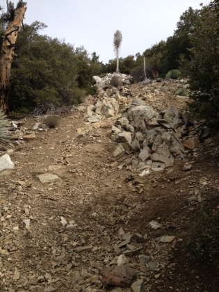 A typical steep scramble up loose rocks and dirt. Cactus to Clouds has a couple sections of similar grade towards the end, but there you often have large rocks to use as steps. Doing comparable grade in this loose footing seems much harder. The goal is to just keep moving as fast as possible, whether that happens to be a run, power hike, walk, or crawl.