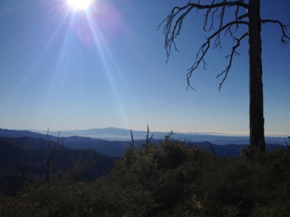 Heading up the Wawona Trail to Mt. Islip.
