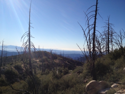 Unfortunately, a major fire came through here a few years ago and there is still evidence of it everywhere.