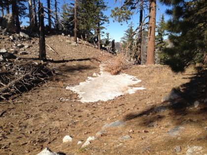 The first sign of snow. This would have been a deep snow trek last year.