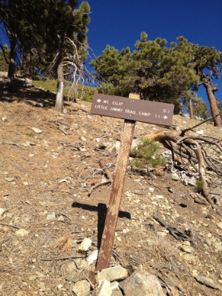 Almost to Mt. Islip. It doesn't look this trail gets much use and it's normally not maintened this time of year because it's usually under snow. My dad and I both lost the trail pretty bad for a while below this  point. But the SGMTB group fixed-up this area of trail the following weekend in direct response to an email I sent to them. Awesome.