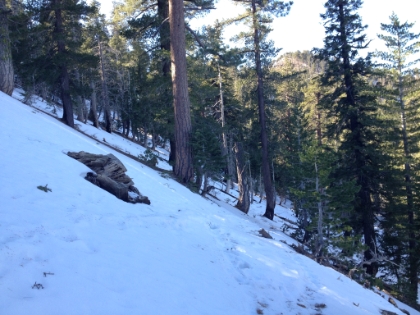 And then starts getting really heavy! I'm just in my lightweight, non-waterproof trail running shoes since snow trekking wasn't on the agenda. Good thing it's a warm day.