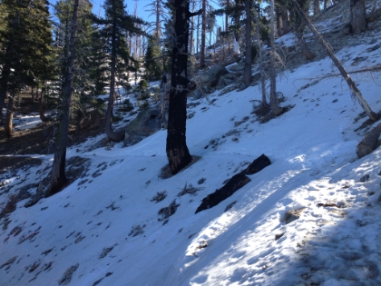 The trail is really icy in places with some pretty steep dropoffs. I was still trying to run the trail as much as possible and was on my ass a bunch of times.
