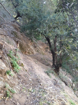 Almost entirely washed out in places, no more than a foot wide, with a steep drop off. Just my kind of trail!