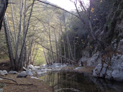 Smith Mtn and Bear Creek