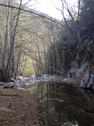 Another view downstream.