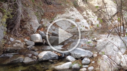 That amazing cascading creek sound that you just want to bottle-up and take home with you.